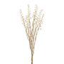 Ramo de bayas de kermes artificiales VILMO, bayas, aspecto seco, beige, 50 cm