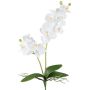 Flor decorativa Phalaenopsis KRUZBER, varilla, raíces, blanca, 55 cm