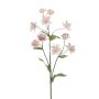 Rama decorativa Sterndolde JAXRON, rosa claro, 70 cm
