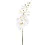 Rama de orquídea Phalaenopsis artificial AXELOR, blanca, 85 cm