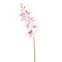 Rama de orquídea Phalaenopsis artificial AXELOR, blanca-rosa, 85 cm