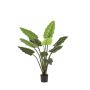 Planta artificial Calathea Rufibarba NUSAKAN, verde, 120 cm