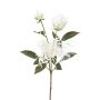 Rama decorativa de crisantemo MIRANE, blanco, 70 cm
