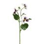 Rama decorativa de pensamientos FREVON, blanco-violeta, 45 cm
