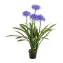 Planta artificial grande agapanto LESEDA en maceta decorativa, azul, 105 cm