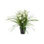 Flor artificial orquídea cymbidium JANILA en maceta decorativa, blanca, 85 cm