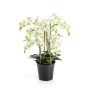 Flor artificial Phalaenopsis FINEA en maceta decorativa, crema, 85 cm