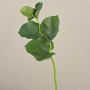 Rama artificial de galax GRACIANO, verde, 40cm