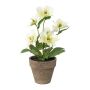 Flor decorativa de rosa de Navidad ILLUME, maceta decorativa, blanco-verde, 30 cm