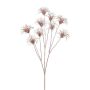 Semillas artificiales de clemátide HARWAY, rosa dorado, 75 cm, Ø 7 cm
