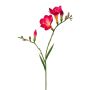 Rama decorativa de fresia FONDYL, rosa, 70 cm