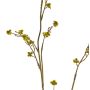 Stirlingia latifolia artificial COLLAN, verde-amarillo, 85cm