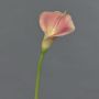 Calla artificial MIRAC, rosa-amarillo, 75cm, 13x15cm