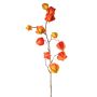 Rama artificial de Physalis PERSEI con frutos, naranja, 80cm