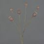 Cápsulas de amapola artificial ASUMAN, marrón, 70cm