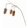 Cardo silvestre artificial LORCAN, marrón claro, 90cm, Ø6-8cm