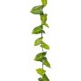 Guirnalda artificial de syngonium OSSIAN, verde, 185 cm