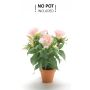 Lisianthus artificial PAULITA en vara de fijación, rosa, 35cm