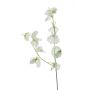 Lathyrus artificial VICENZO, verde-blanco, 50cm