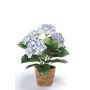 Hortensia artificial LAIDA en maceta de terracota, azul claro, 35cm