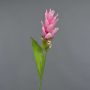 Cúrcuma artificial LAROUCO, rosa, 80cm