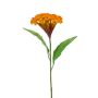 Cresta de gallo artificial ANUBIS, amarillo-naranja, 60cm, Ø13cm