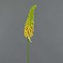 Kniphofia artificial MUNDAKA, amarillo, 85cm