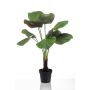 Palmera licuala artificial BERANT, 130cm
