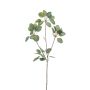 Eucalipto artificial KRISZTOFER, verde, 90cm