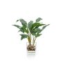 Aglaonema artificial ADRIK en maceta de cristal, verde, 45cm