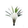 Árbol del viajero artificial DARCEL, verde, 180cm
