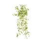 Planta artificial Tradescantia zebrina DIHALLO en varilla, colgante, verde-blanca, 70 cm