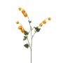 Rama decorativa de physalis TIRFEL con frutos, amarillo-naranja, 95 cm