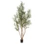 Olivo artificial JALO con frutos, tronco real, verde, 220 cm