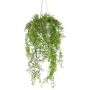 Colgante decorativo de helecho musgo KLUHER, maceta de cemento, verde, 90 cm