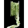 Cinta decorativa con cuentas CARESA de gasa y satén, verde, 5 m, 20 mm