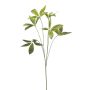 Rama decorativa de pachira NEXOLI, verde, 80 cm