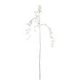 Rama decorativa de bayas falsas VENTOR, colgante, plateada, 105 cm