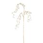 Rama decorativa de bayas falsas VENTOR, colgante, champán, 105 cm