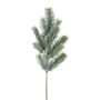 Rama decorativa de abeto azul SLOVAN, congelada, blanco-verde, 50 cm