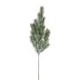Rama decorativa de abeto azul SLOVAN, congelada, blanco-verde, 60 cm