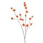 Rama decorativa de hamamelis ZAVNER con flores, naranja, 110 cm