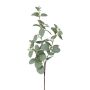 Rama decorativa de eucalipto PLAVEN con flores, verde, 70 cm