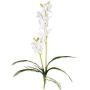 Orquídea dendrobium artificial Sonia NELTI, varilla, raíces, blanca, 60 cm