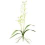 Orquídea dendrobium artificial Sonia NELTI, varilla, raíces, verde claro, 60 cm