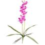 Orquídea artificial Dendrobium Sonia NELTI, varilla, raíces, lila, 60 cm