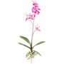 Orquídea artificial Phalaenopsis MALZA, varilla, raíces, cereza, 55 cm