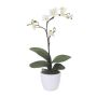 Orquídea artificial Phalaenopsis MALZA, varilla, raíces, color crema, 55 cm