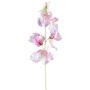 Flor artificial Lathyrus latifolius TERRAT, rosa viejo-verde, 50 cm