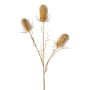 Rama de flores artificiales de cardo silvestre BLOVEN, dorada, 60 cm